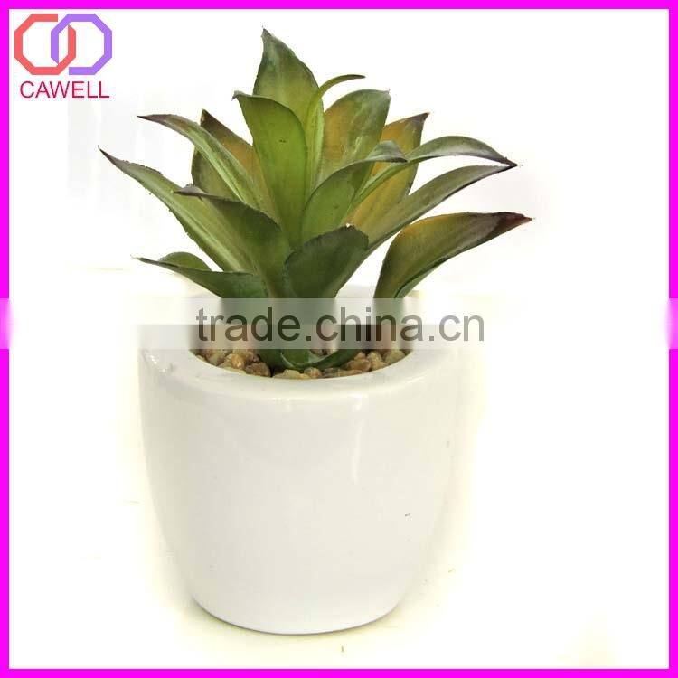 artificial cactus plant cactus succulent