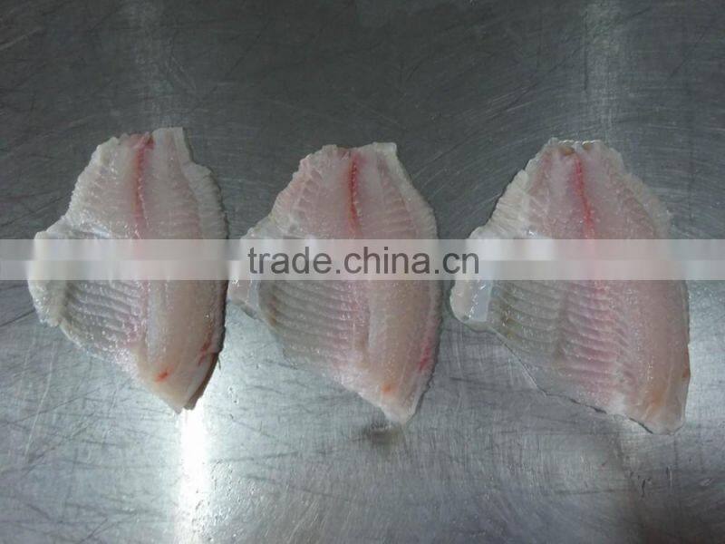 Frozen Tilapia Fillet