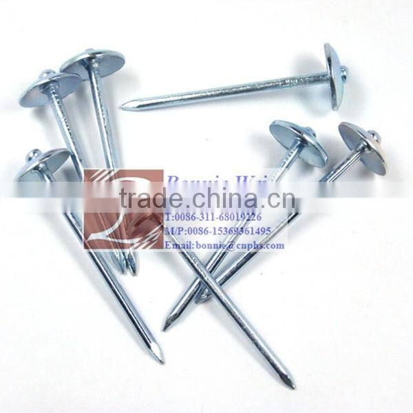 E.G. Umbrella head ROOFING NAIL