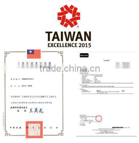 Blade Mirror - Professional One Piece Adult Swimming Goggles