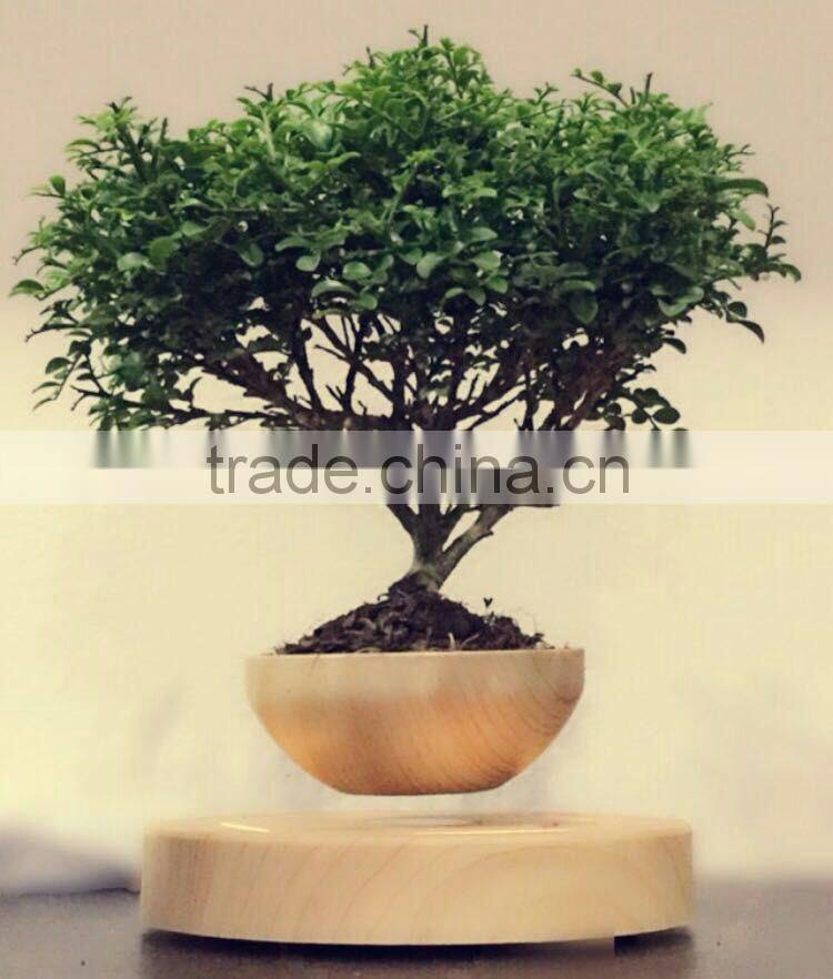 magnetic plant tree pots