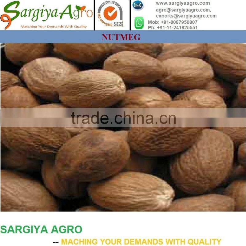 Nutmeg Whole l High Quality