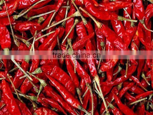 BEST QUALITY RED CHILI EXPORTER