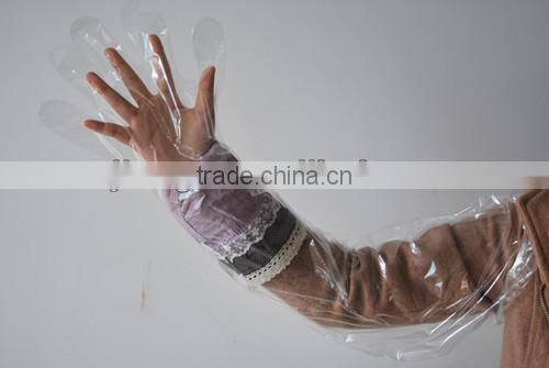 Jiangs Soft and elastic disposable transparent gloves