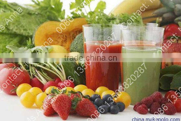 fresh fruits juice machinery small manufacturing machines 0086-13503820287