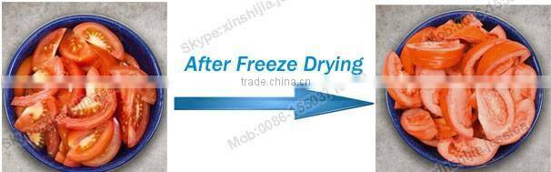 1-2kg fruit vacuum freeze drying machine