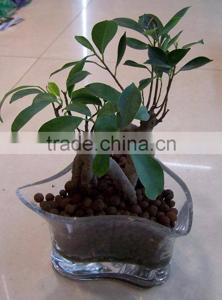 Aquaculture lightweight clay pebbles Aquatic vegetable /LECA /leca thailand