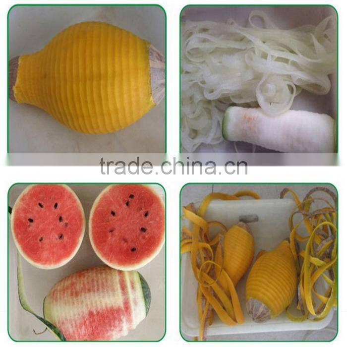 Commerical use papaya/watermelon/wax guard peeler/ peeling machine