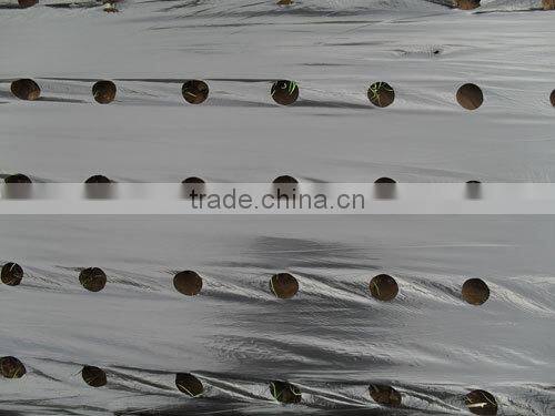 plastic agricultural film with 8cm holes