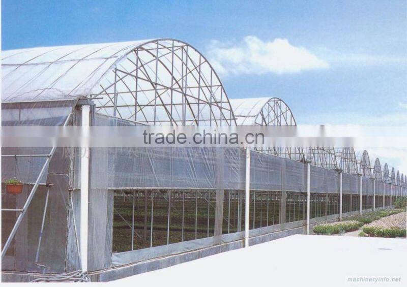 Simple single arched canopy structure stents