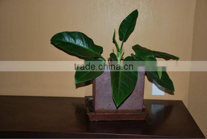 Vietnam Fiberglass flower planters