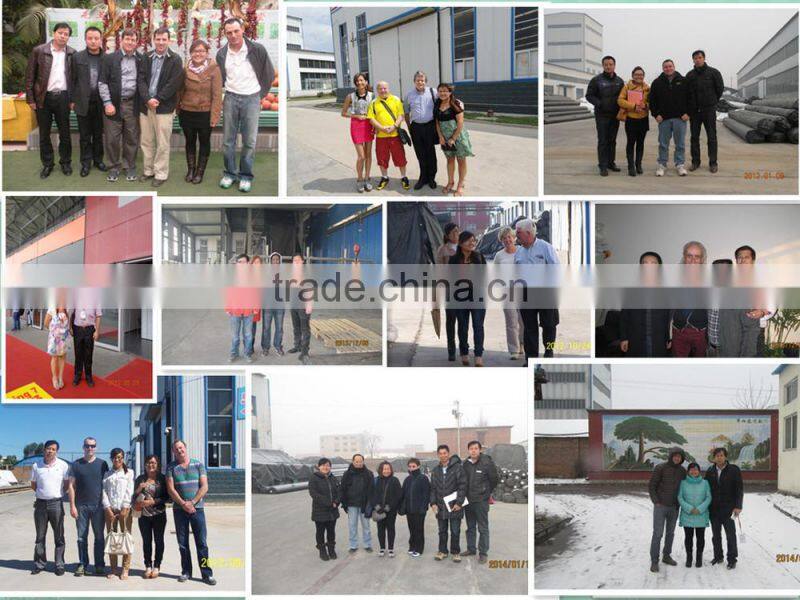 Polypropylene Biaxial Geogrid