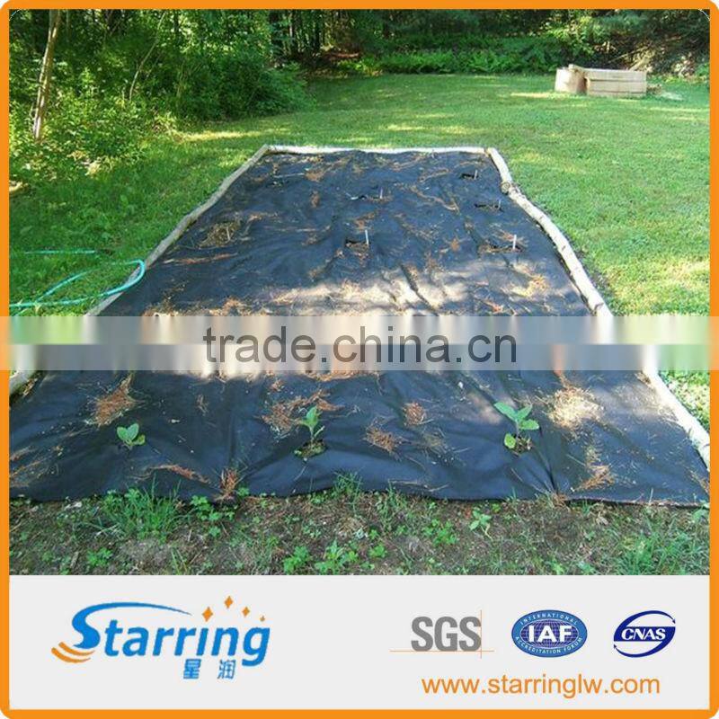 Woven PE Fabric Sheet