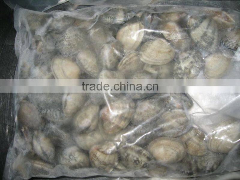 raw frozen short necked clam