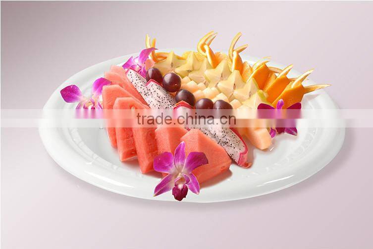 WHOLESALE cheap custom Disposable PP plate for BBQ