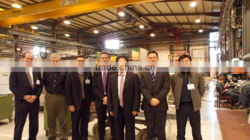 Tomato taste potato chips