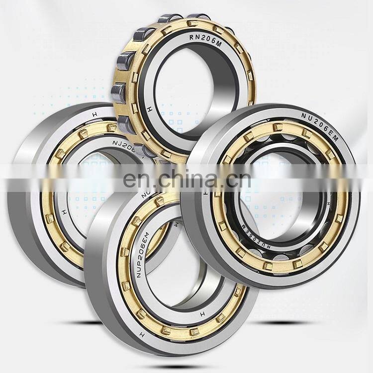 Hot Selling Factory Price Silver NU216 Double Row Cylindrical Roller Bearing Carbon RN309