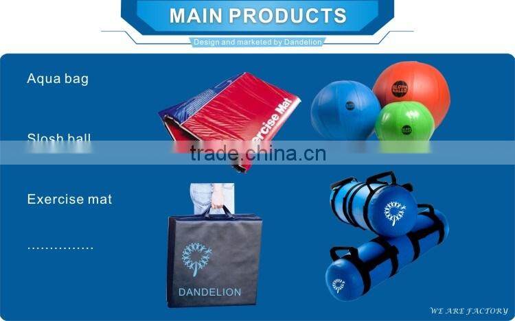 Power Bag Fitness Strength Training Cast Iron Bag