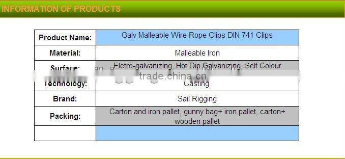 Rigging DIN741 Wire Cable Clamp