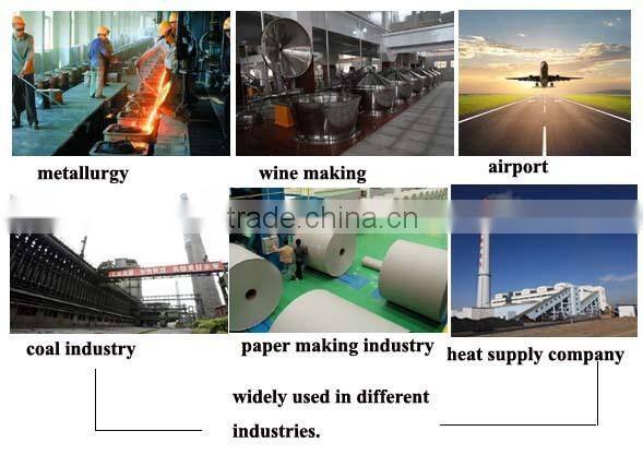 Top ten manufacturer Biomass Fried Steam Boiler