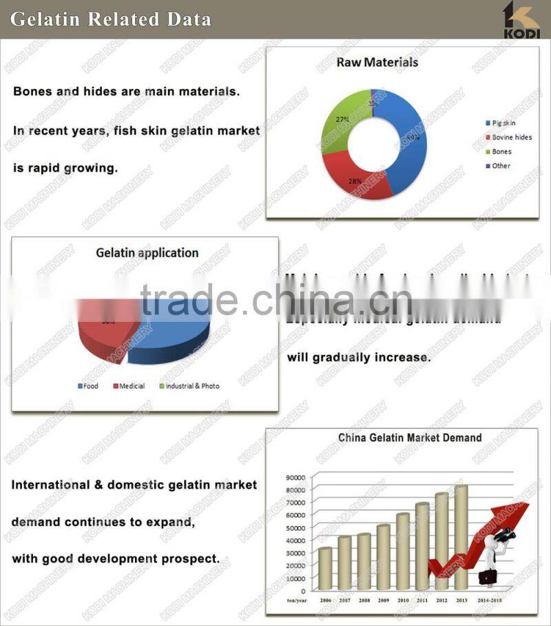 KODI High Quality Skin Gelatin Production Line