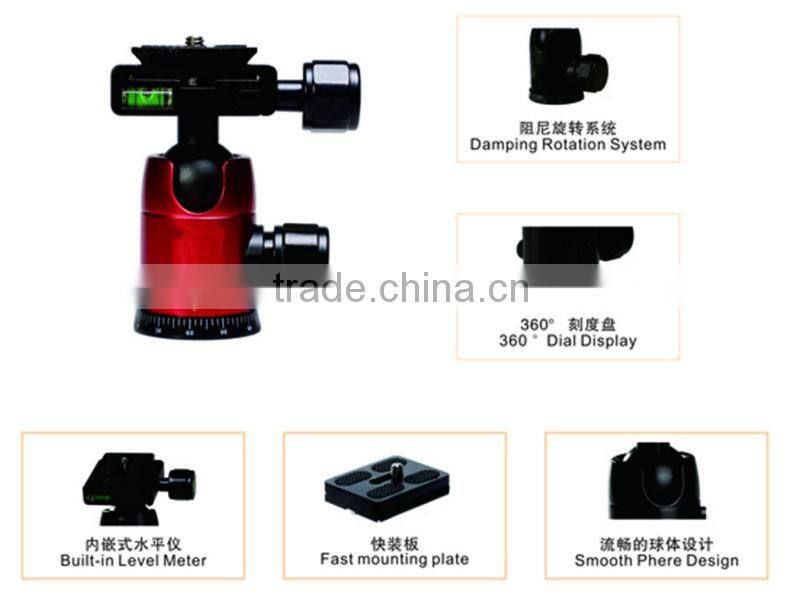 camera Head