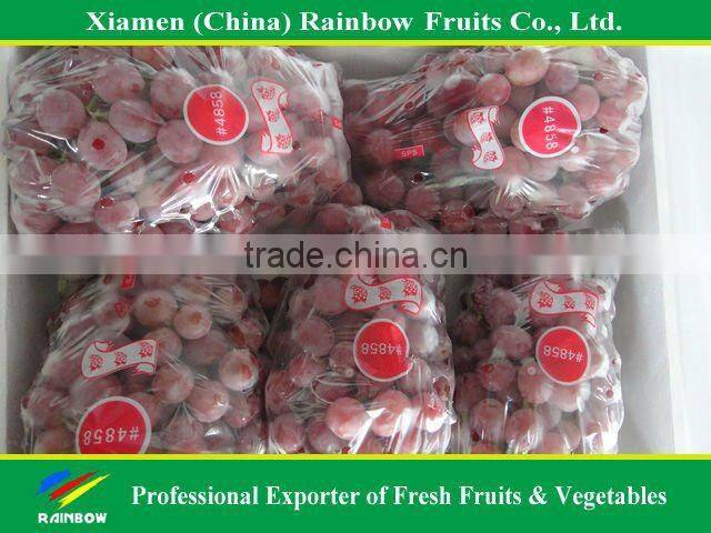 Global Grpaes/fresh grapes price