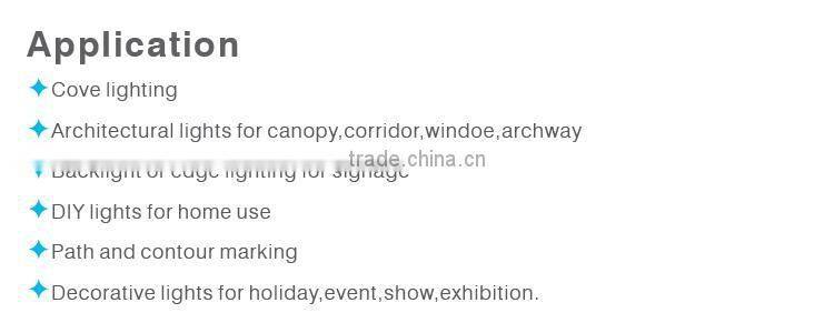 2.4W/M DC12V SMD3528 IP20 30LED/M Flexible Led Strip light