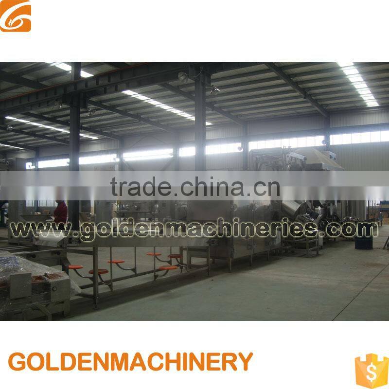 High Quality Professional New Design Automatic Peanut Frying Processing Line