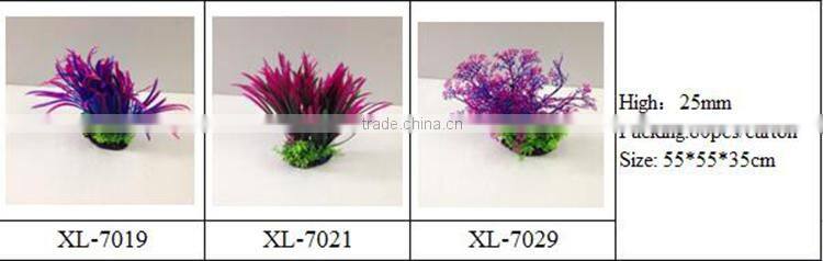 aqua plants water plants for sale