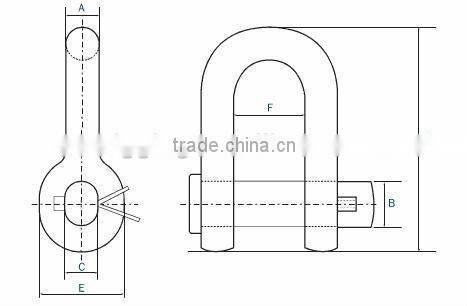 D Forelock Shackle Fitted with Oval Pin