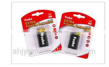 Hot Sale FOSKA AA Battery