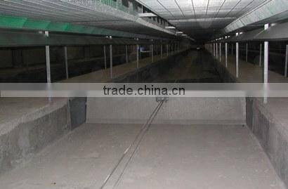 automatic rabbit equipment