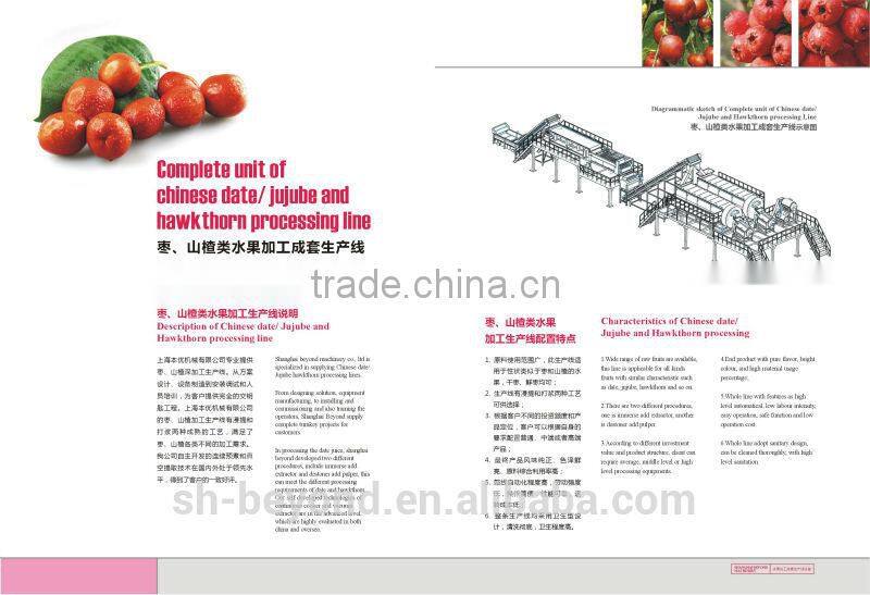 Jujube(Dates) Fruit Juice processing line