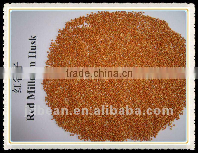 red millet in husk