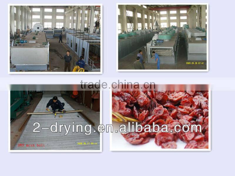 blue cherry drying machine