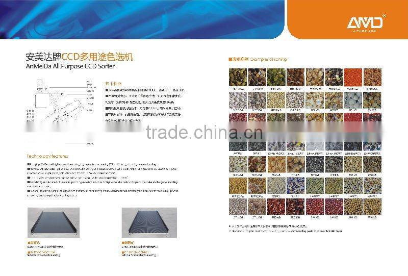 Hazelnuts Color Sorter