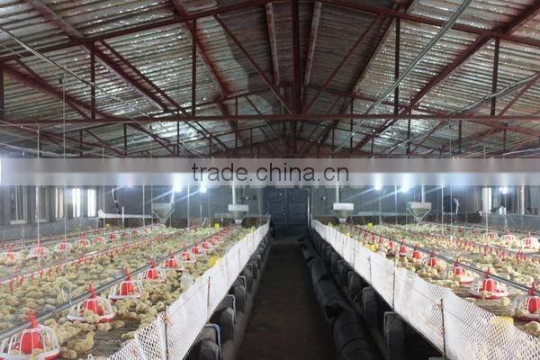 feeder pan for broiler equipments | chick equipments