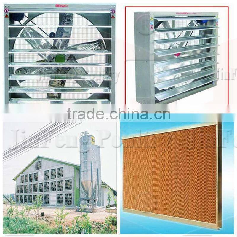 A type laying hen egg batteries hot galvanised process chicken cage