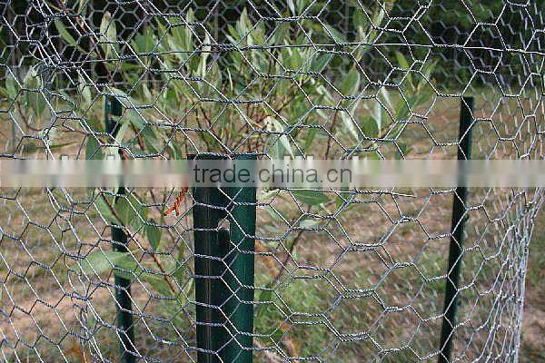 Hot-dip Galvanized Tree Guard Hexagonal Wire Mesh