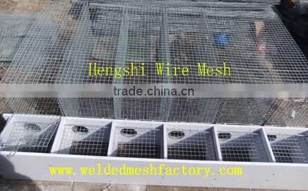 Wire Mesh Cage for animal