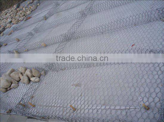 Plastic/PVE/PE Coated/Galvanized Hexagonal Gabion Mesh