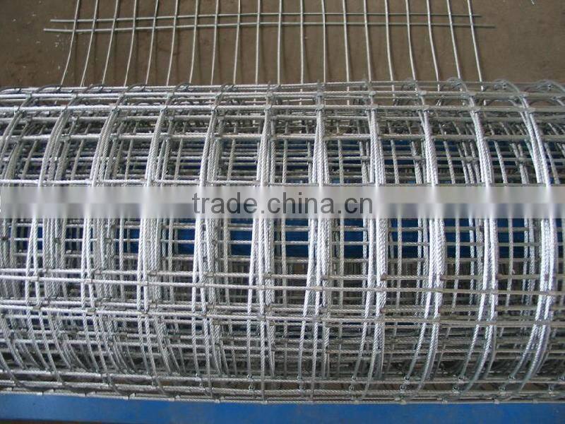 Hot -dipped Galvanized Welded Wire Mesh 3315 (factory)