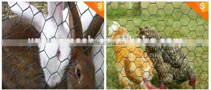 electro galvanized hexagonal wire mesh/hot dip galvanized hexagonal wire mesh