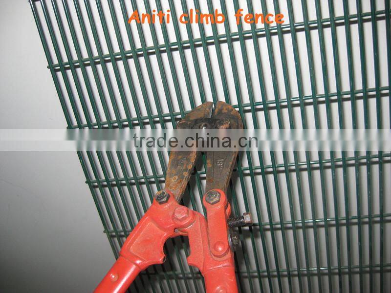 Direct factory welded wire fence mesh 5x5