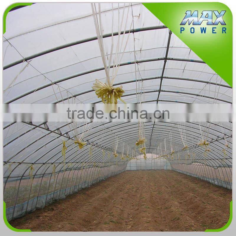 Hot Sale Low Cost Galvanized Pipe Grow Tent Greenhouse Tunnel
