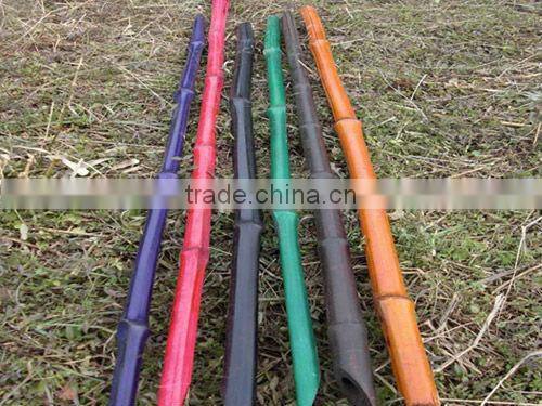 Raw Bamboo Cane Export