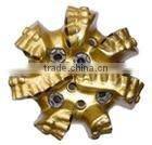 Diamond oil drilling bit of5 blades