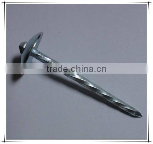 1"*11G Galvanized Umbrella Head Plain and Ring Shank Roofing Nail (factory)