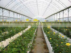 PE shrink greenhouse film/mulch film